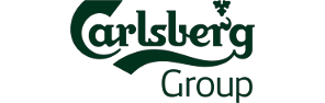 Technical support of the Carlsberg Group IT service management platform in the Eastern Europe region